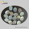 Rectangle Agoya Shell Button