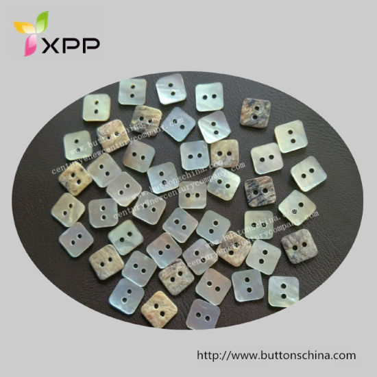 Rectangle Agoya Shell Button